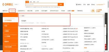 集成阿里短信服務(wù) 軟件開發(fā)的實用指南